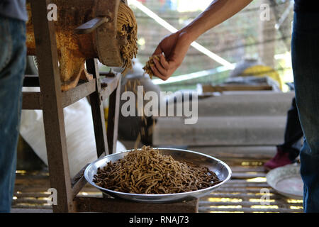 Maschine für die Herstellung von Futter pellet für die Verfütterung von tierischen Erzeugung von Futtermitteln. Stockfoto