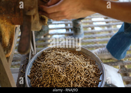 Maschine für die Herstellung von Futter pellet für die Verfütterung von tierischen Erzeugung von Futtermitteln. Stockfoto