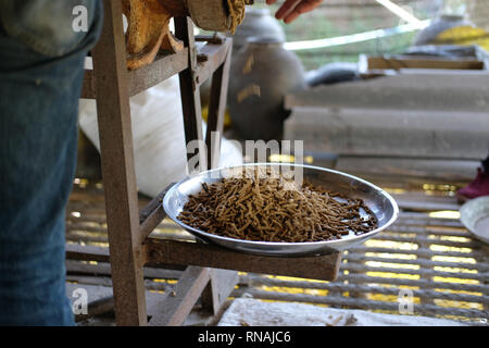 Maschine für die Herstellung von Futter pellet für die Verfütterung von tierischen Erzeugung von Futtermitteln. Stockfoto