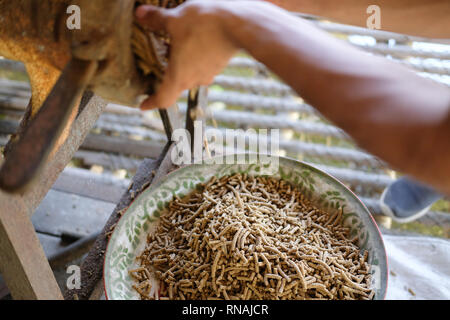 Maschine für die Herstellung von Futter pellet für die Verfütterung von tierischen Erzeugung von Futtermitteln. Stockfoto