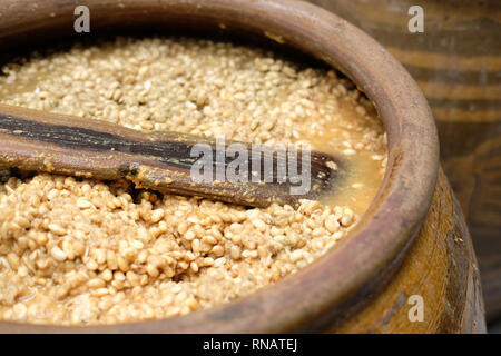 Gesalzene Sojabohnenpaste in jar fermentiert. Soja Produktion Stockfoto