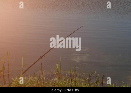 Stangen auf einen Rod Pod mit dem Swinger bereit angebracht einige Fische zu fangen. Sonnenlicht Stockfoto