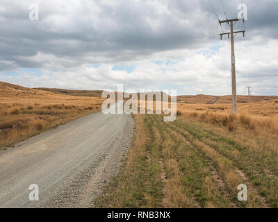 Strommasten Linien auf einem unbefestigten Feldweg, tussock Land, Ngamatea Station, Inland Mokai Patea, Central North Island, Neuseeland Stockfoto