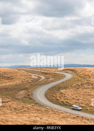 Gewundene Straße durch tussock Land auf Ngamatea Station, Inland Mokai Patea, Central North Island, Neuseeland Stockfoto