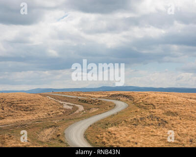 Gewundene Straße durch tussock Land auf Ngamatea Station, Inland Mokai Patea, Central North Island, Neuseeland Stockfoto