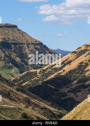 Steile Hügel, braunem Gras im Sommer, Moawhango Tal, Inland Mokai Patea, Central North Island, Neuseeland Stockfoto