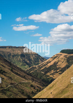 Steile Hügel, braunem Gras im Sommer, Moawhango Tal, Inland Mokai Patea, Central North Island, Neuseeland Stockfoto