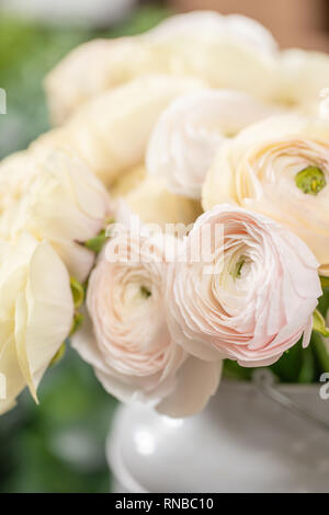 Persische buttercup. Bündel blass rosa und Pastell gelb ranunculus Blumen im Glas Vase. Vertikale Wallpaper Stockfoto