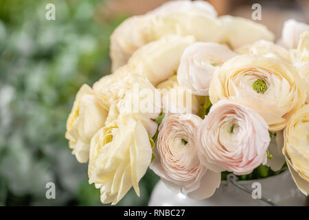 Persische buttercup. Bündel blass rosa und Pastell gelb ranunculus Blumen im Glas Vase. Vertikale Wallpaper Stockfoto