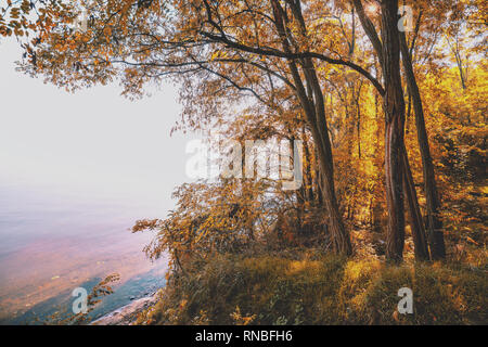 Schönen Herbst Landschaft. Bäume wachsen auf einer Klippe an der Küste Stockfoto