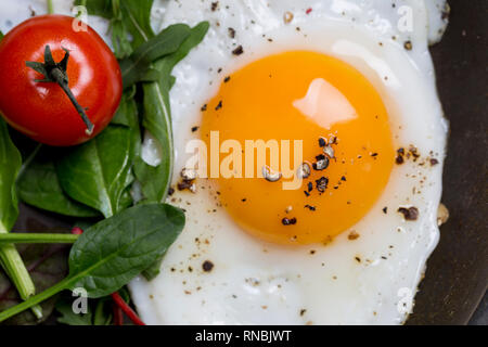 Close up Dotter der Eier mit Salat und Tomaten. Ansicht von oben, horizontal Stockfoto
