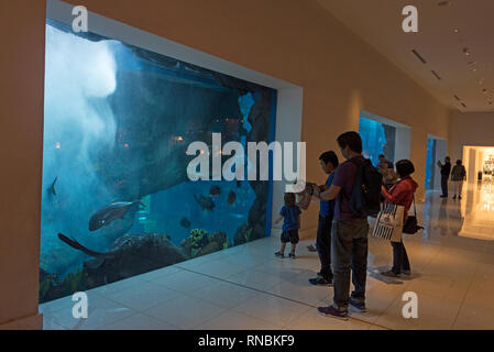 Käufer durch eine Vielzahl von tropischen Fischen in das riesige Aquarium in der Dubai Mall auf Doha Straße unterhalten zu werden, 1. Interchange-Sheikh Za Stockfoto