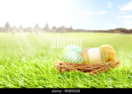 Bunte Ostereier im Nest auf der Rasenfläche mit Bäumen und blauer Himmel. Frohe Ostern Stockfoto
