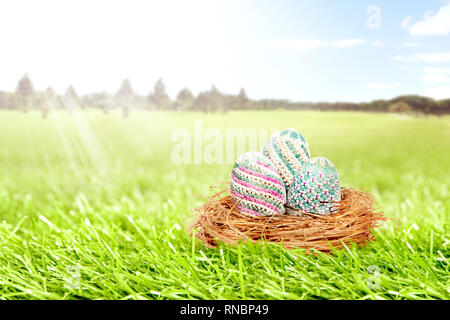 Bunte Ostereier im Nest auf einer Rasenfläche mit Bäumen und blauer Himmel. Frohe Ostern Stockfoto