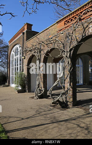 Die Orangerie in Holland Park, Kensington, London. Eine Galerie und einen Platz in einer der reichsten Gegenden der Stadt. Stockfoto