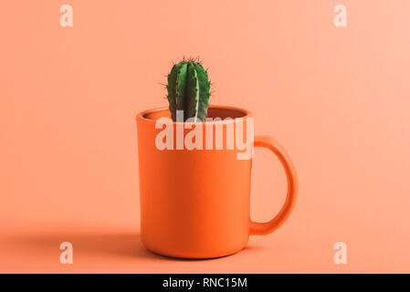 Grüner Kaktus in Coral Kaffee Tasse auf Korallen Hintergrund, Farbe 2019 Konzept Stockfoto