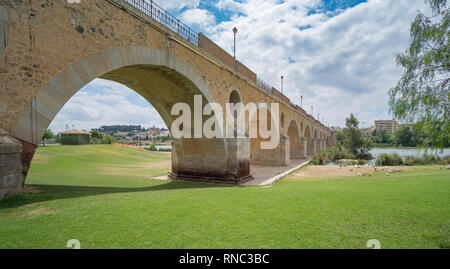 Blick auf die Brücke der Palmen in Badajoz Stockfoto