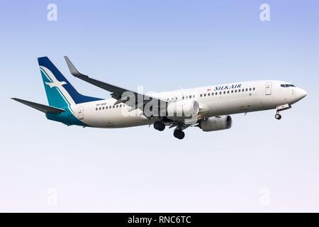 Singapur, Singapur - 29. Januar 2018: Silk Air Boeing 737 am Flughafen Singapur Changi (SIN) in Singapur. | Verwendung weltweit Stockfoto