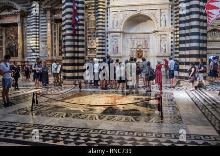 Touristen im Inneren des Duomo di Siena (Siena), Toskana, Italien Stockfoto