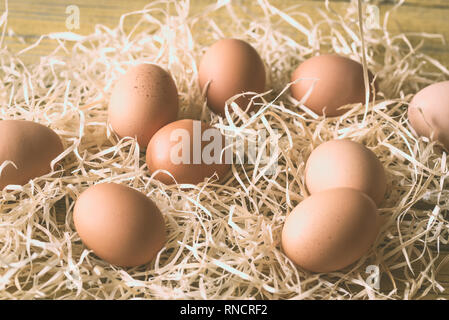 Rohes huhn eier im Heu: Ansicht von oben Stockfoto