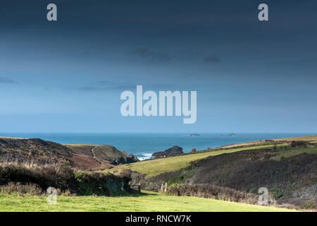 Felder, die zu der abgelegenen Porth Mear Bucht an der Küste von North Cornwall. Stockfoto