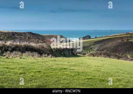 Felder, die zu der abgelegenen Porth Mear Bucht an der Küste von North Cornwall. Stockfoto