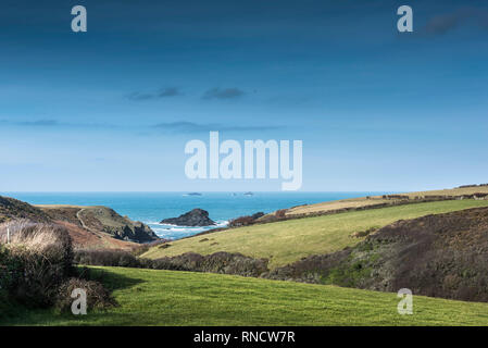 Felder, die zu der abgelegenen Porth Mear Bucht an der Küste von North Cornwall. Stockfoto