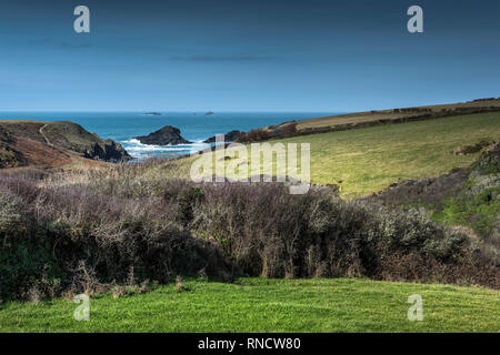 Felder, die zu der abgelegenen Porth Mear Bucht an der Küste von North Cornwall. Stockfoto