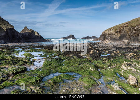 Rock Pools bei Ebbe in der abgeschiedenen Porth Mear Bucht an der Küste von North Cornwall. Stockfoto