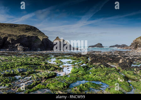 Trescore Inseln an der abgeschiedenen Porth Mear Bucht an der Küste von North Cornwall. Stockfoto