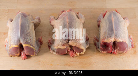 Drei gerupft und vorbereitet ungekocht woodpigeons auf einer hölzernen Schneidebrett und weißen Hintergrund. Die woodpigeon, Columba Palumbus, ist einer von Großbritanniens Stockfoto