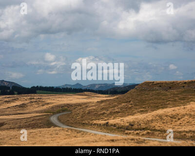 Eine Kurve, tussock Land auf Ngamatea Station, Inland Mokai Patea, Central North Island, Neuseeland Stockfoto