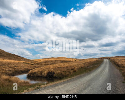 Teich neben entsiegelt Schotterstraße, tussock Land auf Ngamatea Station, Inland Mokai Patea, Central North Island, Neuseeland Stockfoto
