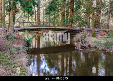 New Forest, Blackwater Bridge, das rhinefield Zierpflanzen Drive, Brockenhurst, Großbritannien. Stockfoto