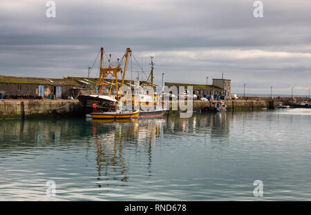 Newlyn Harbour Cornwall, Newlyn Fischerboote Newlyn ist die Heimat einer der größten Fischereiflotten im Vereinigten Königreich Stockfoto