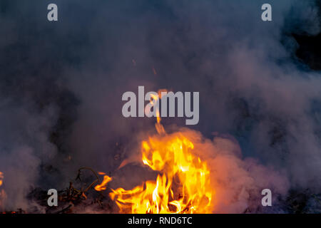 Wald wildfire bei Nacht ganze Gebiet durch Flammen und Wolken dunkler Rauch bedeckt. Verzerrte Details durch hohe Temperaturen und hohe Verdunstung Gase während Kom Stockfoto