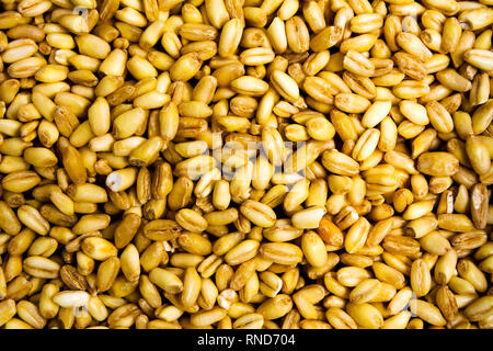 Weizen Getreidekörner bilden ein Hintergrundmuster Stockfoto