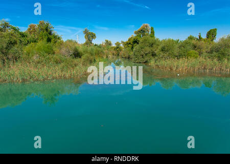 Alte kaputte Zweige ins Wasser gefallen. Ente auf dem Wasser. Schöne Spiegelbild im Wasser. Fotos von der Küste, der Blick vom Meer. Die co Stockfoto