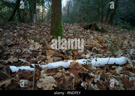 Ein Kaninchen Guard für Schutz junger Bäume Wald littering. Stockfoto