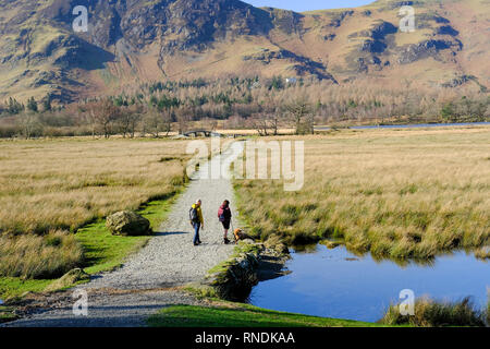 Zwei Wanderer und ihren Hund auf dem Weg rund um den südlichen Ende des Derwent Water im Lake District. Stockfoto