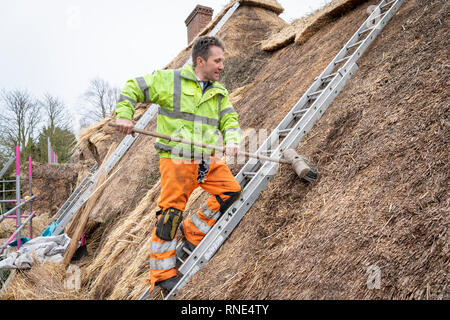 Cambridgeshire, Großbritannien. 18 Feb, 2019. Die strohgedeckten Dach einer alten Ferienhaus Bauernhaus auf Lark Rise Farm wird repariert. Chris Pepper und sein Team arbeiten das denkmalgeschützte Gebäude zu rethatch, Teile aus dem 14. Jahrhundert stammt. Der erfahrene Handwerker mit langem Stroh der Grat wieder aufzubauen und die wichtigsten Teile des Dachs. Credit: Julian Eales/Alamy leben Nachrichten Stockfoto