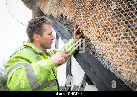 Cambridgeshire, Großbritannien. 18 Feb, 2019. Die strohgedeckten Dach einer alten Ferienhaus Bauernhaus auf Lark Rise Farm wird repariert. Chris Pepper und sein Team arbeiten das denkmalgeschützte Gebäude zu rethatch, Teile aus dem 14. Jahrhundert stammt. Der erfahrene Handwerker mit langem Stroh der Grat wieder aufzubauen und die wichtigsten Teile des Dachs. Credit: Julian Eales/Alamy leben Nachrichten Stockfoto