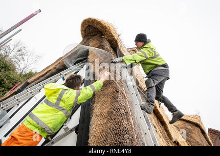 Cambridgeshire, Großbritannien. 18 Feb, 2019. Die strohgedeckten Dach einer alten Ferienhaus Bauernhaus auf Lark Rise Farm wird repariert. Chris Pepper und sein Team arbeiten das denkmalgeschützte Gebäude zu rethatch, Teile aus dem 14. Jahrhundert stammt. Der erfahrene Handwerker mit langem Stroh der Grat wieder aufzubauen und die wichtigsten Teile des Dachs. Credit: Julian Eales/Alamy leben Nachrichten Stockfoto