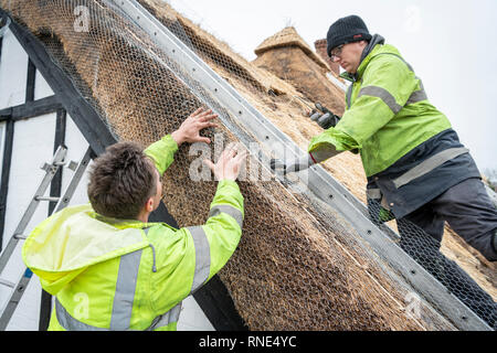 Cambridgeshire, Großbritannien. 18 Feb, 2019. Die strohgedeckten Dach einer alten Ferienhaus Bauernhaus auf Lark Rise Farm wird repariert. Chris Pepper und sein Team arbeiten das denkmalgeschützte Gebäude zu rethatch, Teile aus dem 14. Jahrhundert stammt. Der erfahrene Handwerker mit langem Stroh der Grat wieder aufzubauen und die wichtigsten Teile des Dachs. Credit: Julian Eales/Alamy leben Nachrichten Stockfoto