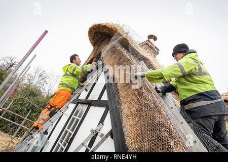 Cambridgeshire, Großbritannien. 18 Feb, 2019. Die strohgedeckten Dach einer alten Ferienhaus Bauernhaus auf Lark Rise Farm wird repariert. Chris Pepper und sein Team arbeiten das denkmalgeschützte Gebäude zu rethatch, Teile aus dem 14. Jahrhundert stammt. Der erfahrene Handwerker mit langem Stroh der Grat wieder aufzubauen und die wichtigsten Teile des Dachs. Credit: Julian Eales/Alamy leben Nachrichten Stockfoto