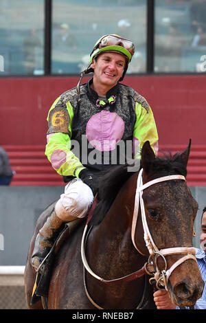 Hot Springs, Arkansas, USA. 18 Feb, 2019. Februar 18, 2019: #6 Super Pferd mit Jockey Terry J. Thompson gewinnt Südwesten Stakes Rennen in Oaklawn Park am 18. Februar 2019 in Hot Springs, Arkansas. (Foto von Ted McClenning/Eclipse/Cal Sportswire Sport Media) Credit: Csm/Alamy leben Nachrichten Stockfoto