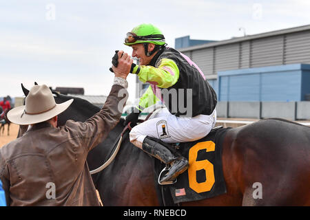 Hot Springs, Arkansas, USA. 18 Feb, 2019. Februar 18, 2019: #6 Super Pferd mit Jockey Terry J. Thompson gewinnt Südwesten Stakes Rennen in Oaklawn Park am 18. Februar 2019 in Hot Springs, Arkansas. (Foto von Ted McClenning/Eclipse/Cal Sportswire Sport Media) Credit: Csm/Alamy leben Nachrichten Stockfoto