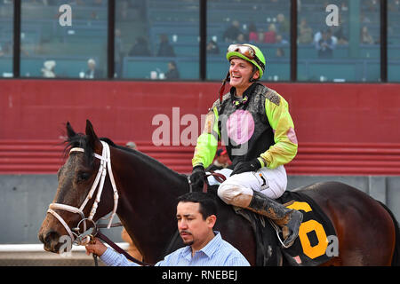 Hot Springs, Arkansas, USA. 18 Feb, 2019. Februar 18, 2019: #6 Super Pferd mit Jockey Terry J. Thompson gewinnt Südwesten Stakes Rennen in Oaklawn Park am 18. Februar 2019 in Hot Springs, Arkansas. (Foto von Ted McClenning/Eclipse/Cal Sportswire Sport Media) Credit: Csm/Alamy leben Nachrichten Stockfoto