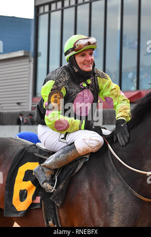 Hot Springs, Arkansas, USA. 18 Feb, 2019. Februar 18, 2019: #6 Super Pferd mit Jockey Terry J. Thompson gewinnt Südwesten Stakes Rennen in Oaklawn Park am 18. Februar 2019 in Hot Springs, Arkansas. (Foto von Ted McClenning/Eclipse/Cal Sportswire Sport Media) Credit: Csm/Alamy leben Nachrichten Stockfoto