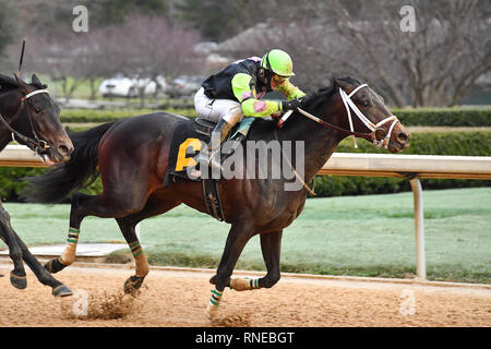 Hot Springs, Arkansas, USA. 18 Feb, 2019. Februar 18, 2019: #6 Super Pferd mit Jockey Terry J. Thompson gewinnt Südwesten Stakes Rennen in Oaklawn Park am 18. Februar 2019 in Hot Springs, Arkansas. (Foto von Ted McClenning/Eclipse/Cal Sportswire Sport Media) Credit: Csm/Alamy leben Nachrichten Stockfoto